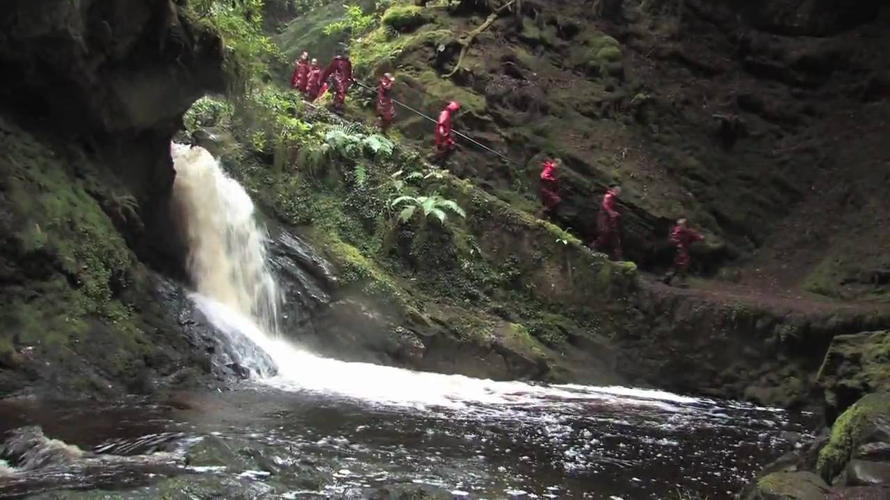 Forest Adventure Activity - Benmore Centre For Outdoor Education