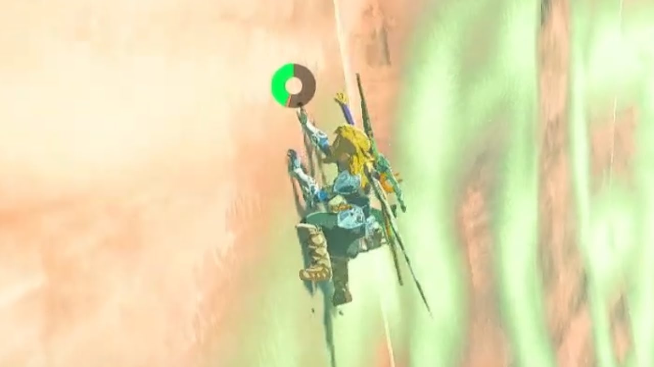 ICH FIND ES NICHT... 🍃 The Legend of Zelda Tears of the Kingdom Part 48