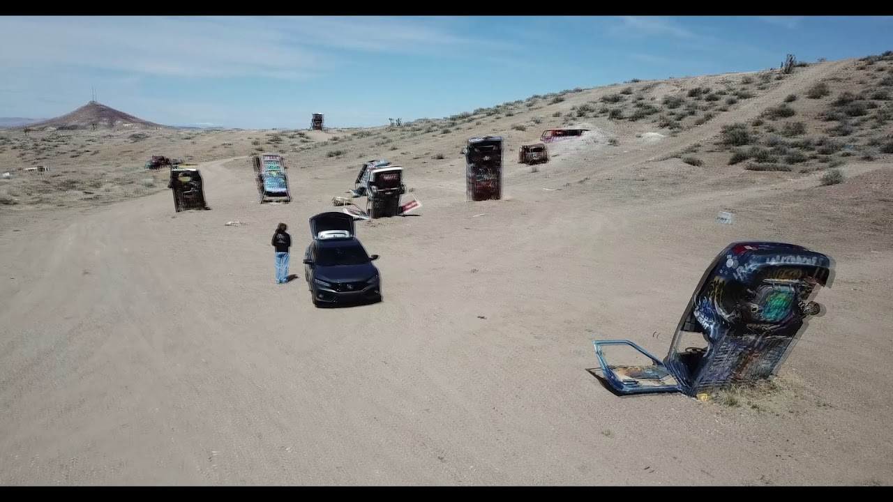 International Car Forest