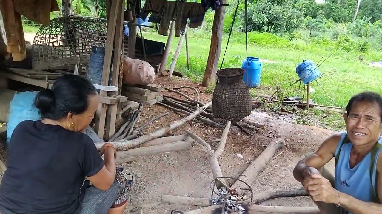ครอบครัวแม่ลินทอง.ชาวสวนยางพารา// ແມ່ລິນທອງຊາວສວນຢາງ..ປ່າໄລ່