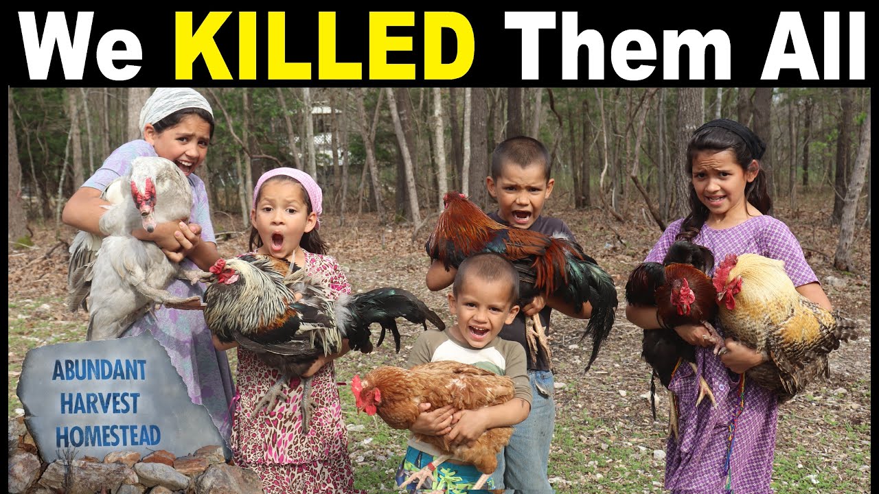CULLING DAY ( We KILLED Them ALL - TOO MANY ROOSTERS)