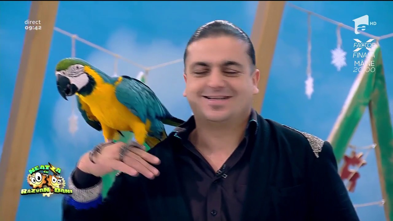 Paco Magicianul şi papagalul Fido, număr de senzație în platoul Neatza