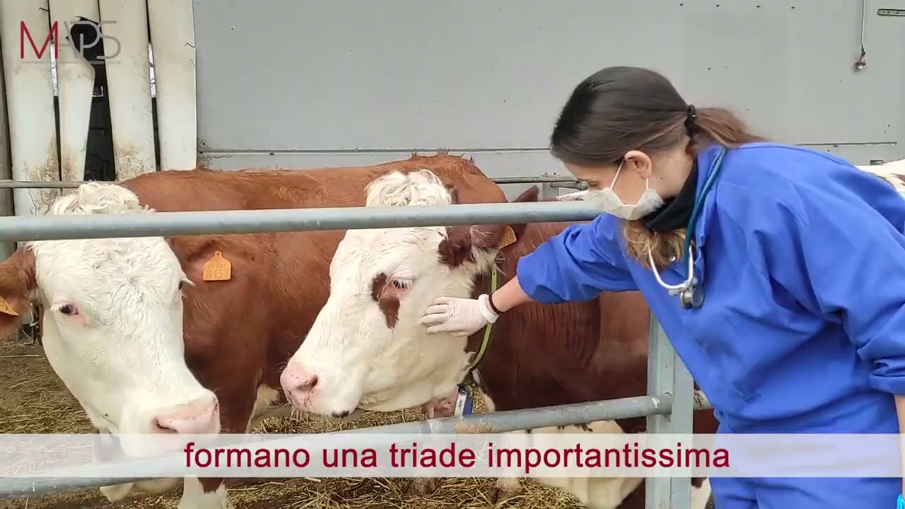 Medicina Veterinaria