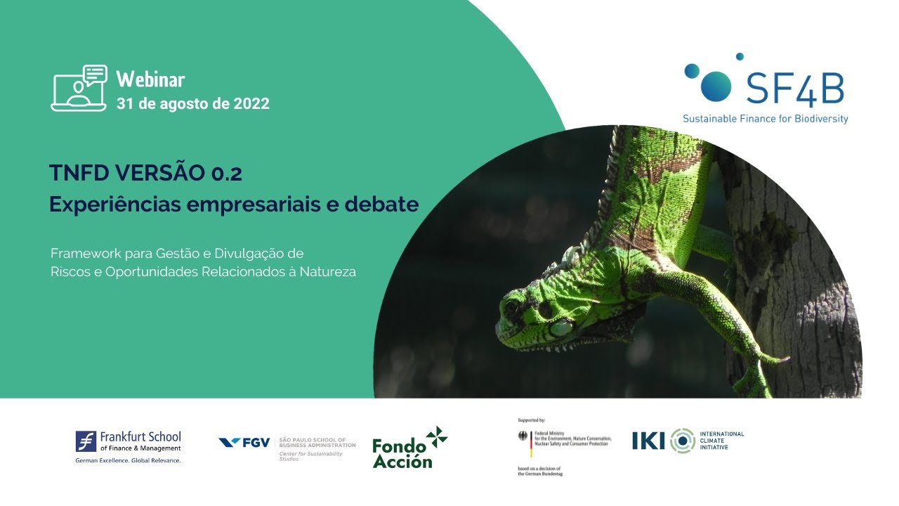 [FGV & CEBDS] TNFD versão 0.2: experiências empresariais e debate