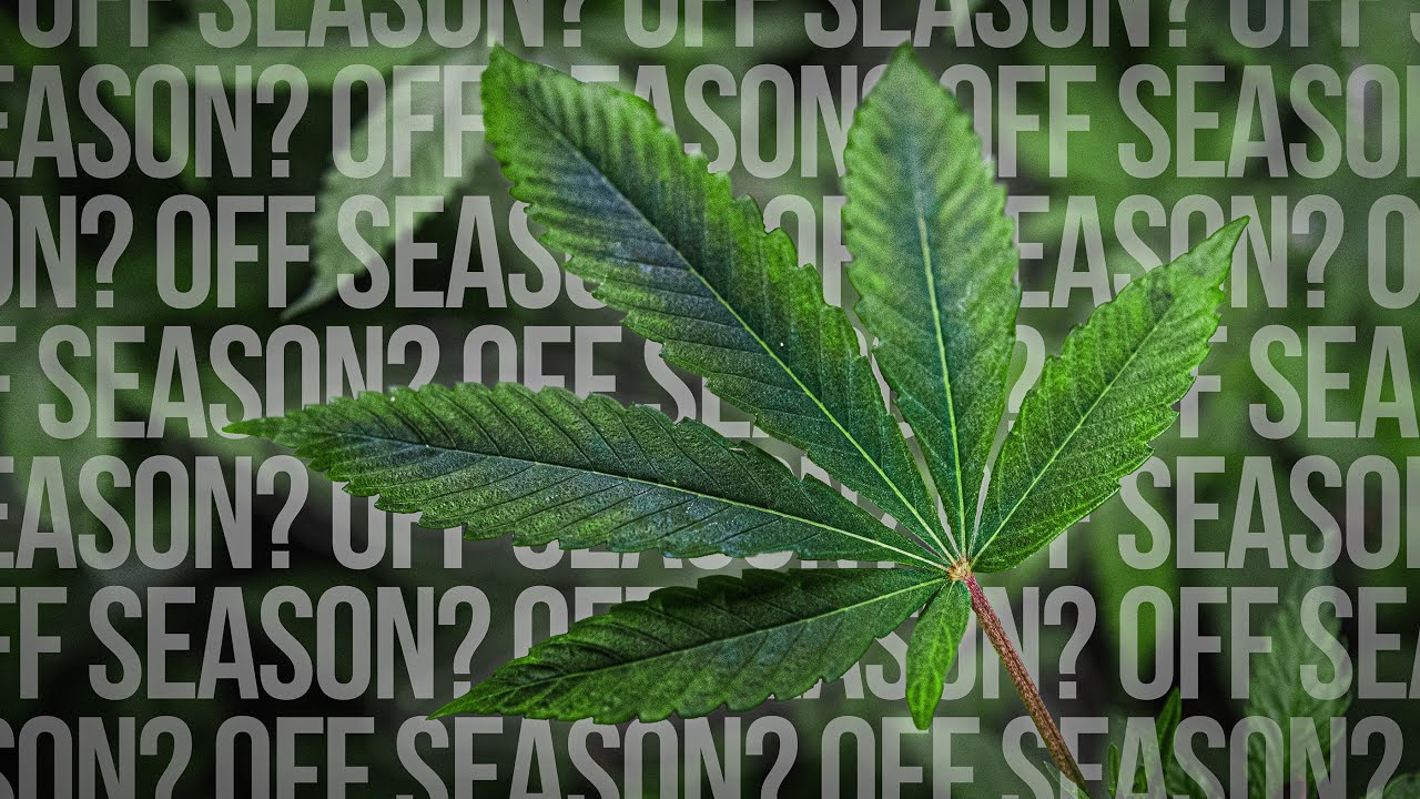 What Off Season??? Winter Cannabis Farming in Canada!