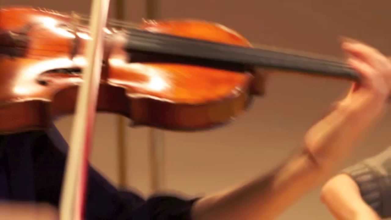 Kodaly Intermezzo for string trio - trio oreade Zurich