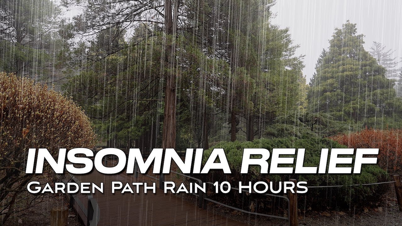Deep Sleep Rain Sounds [10 HOURS] | Gentle Garden Rain | Insomnia Relief, White Noise ASMR