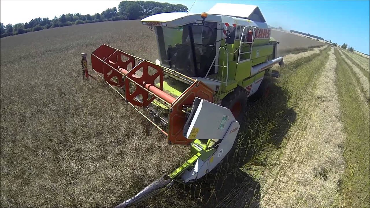 moisson 2014 colza (agrimachine59) f