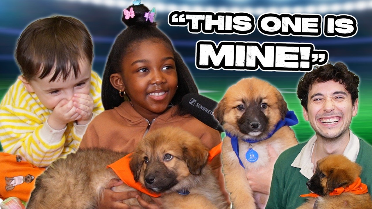 Puppy Takeover | Recess Therapy