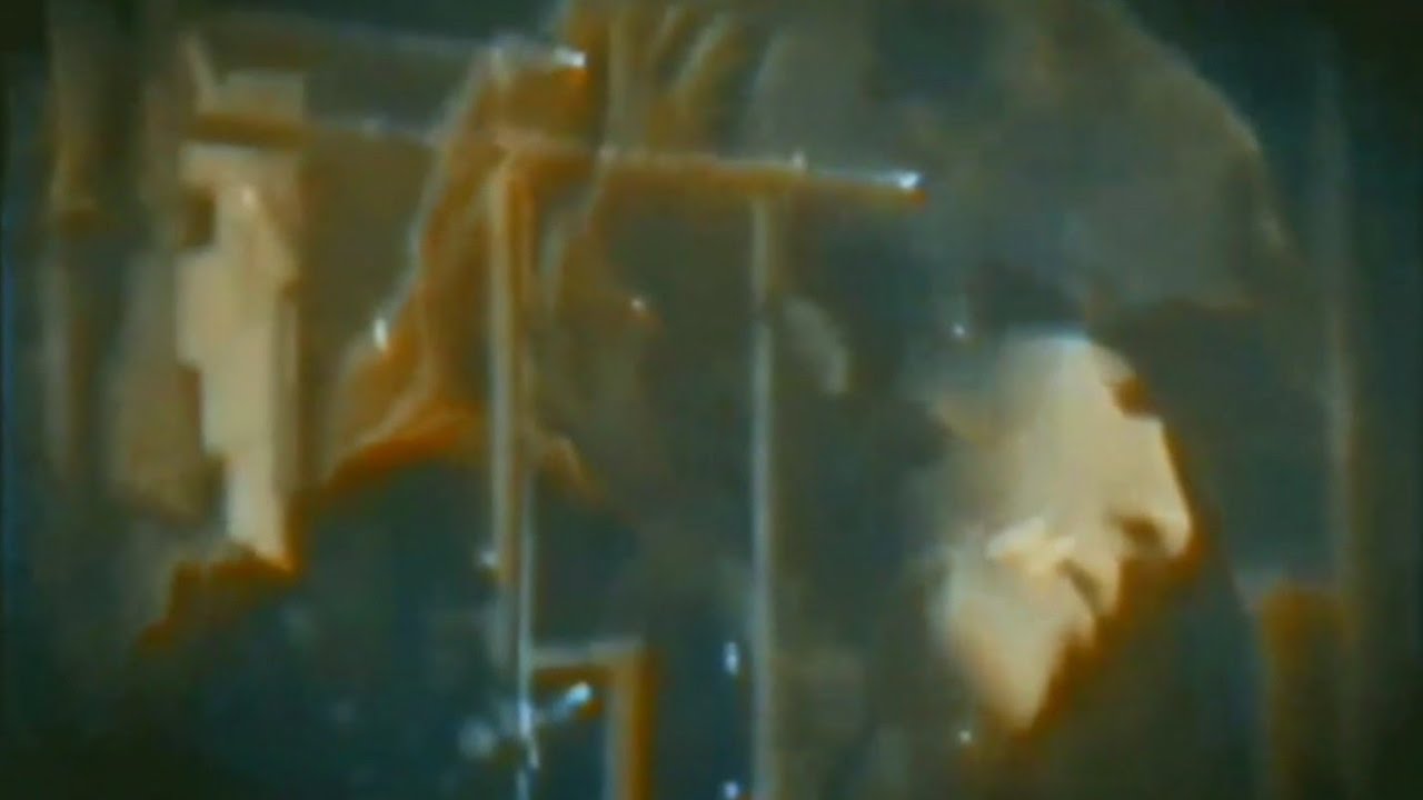 ラストシーン / この愛のときめき  西城秀樹