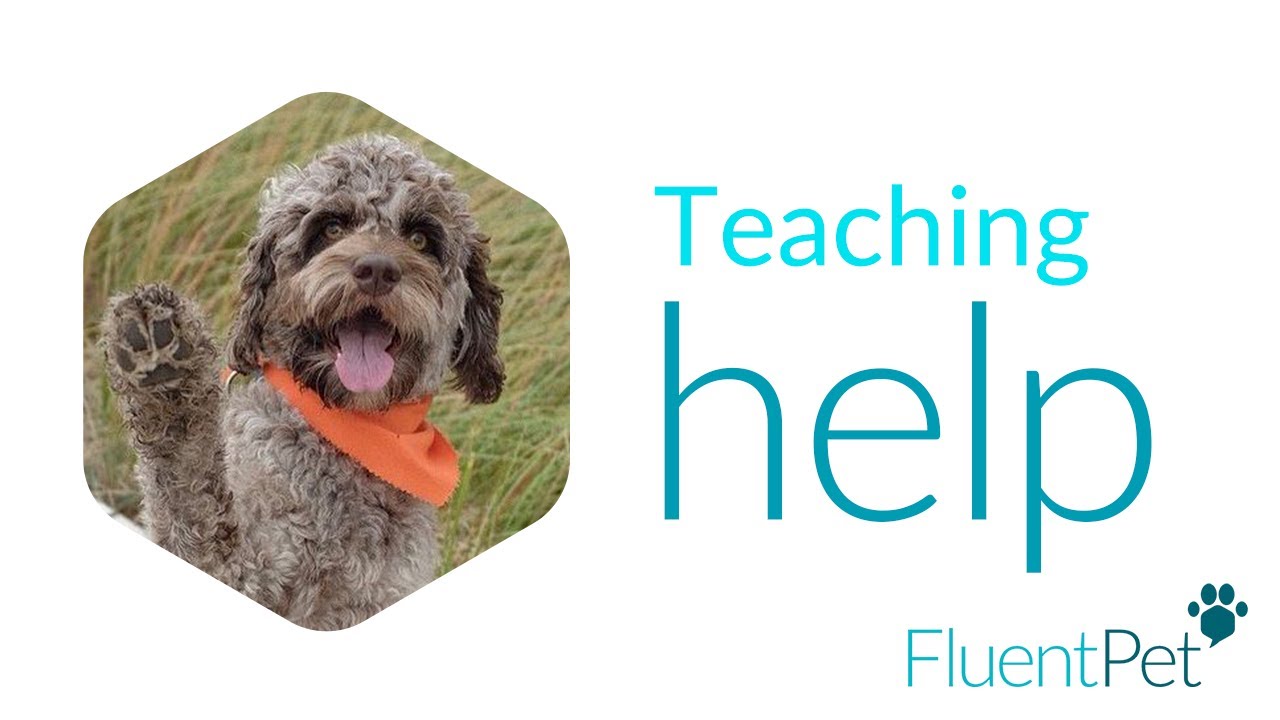 Teaching HELP | FluentPet Buttons