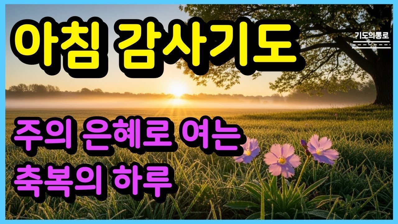 아침감사기도 ㅣ 주의 은혜로 여는 축복의 하루ㅣ아침기도ㅣ하루를 시작하는 기도ㅣ아침을 여는 기도