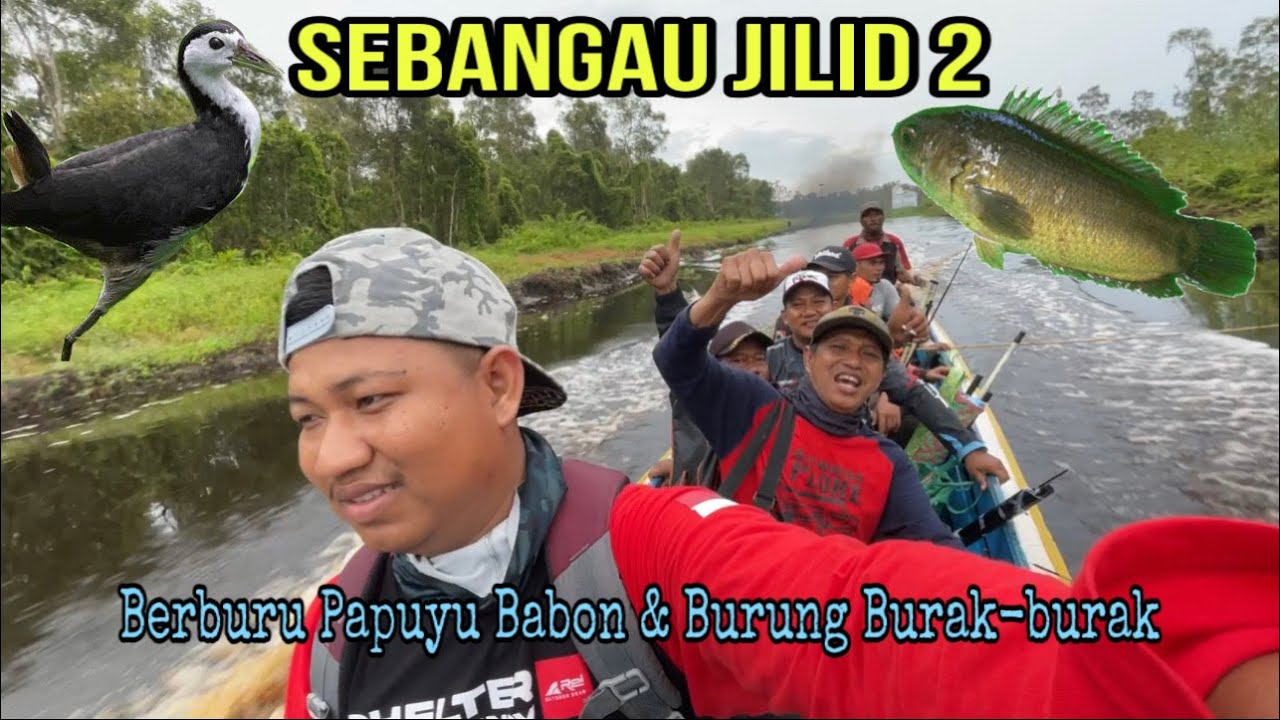 SEBANGAU JILID 2//BERBURU PAPUYU BABON & BURUNG BURAK-BURAK(25/02/2023) #sebangau #mancing #papuyu