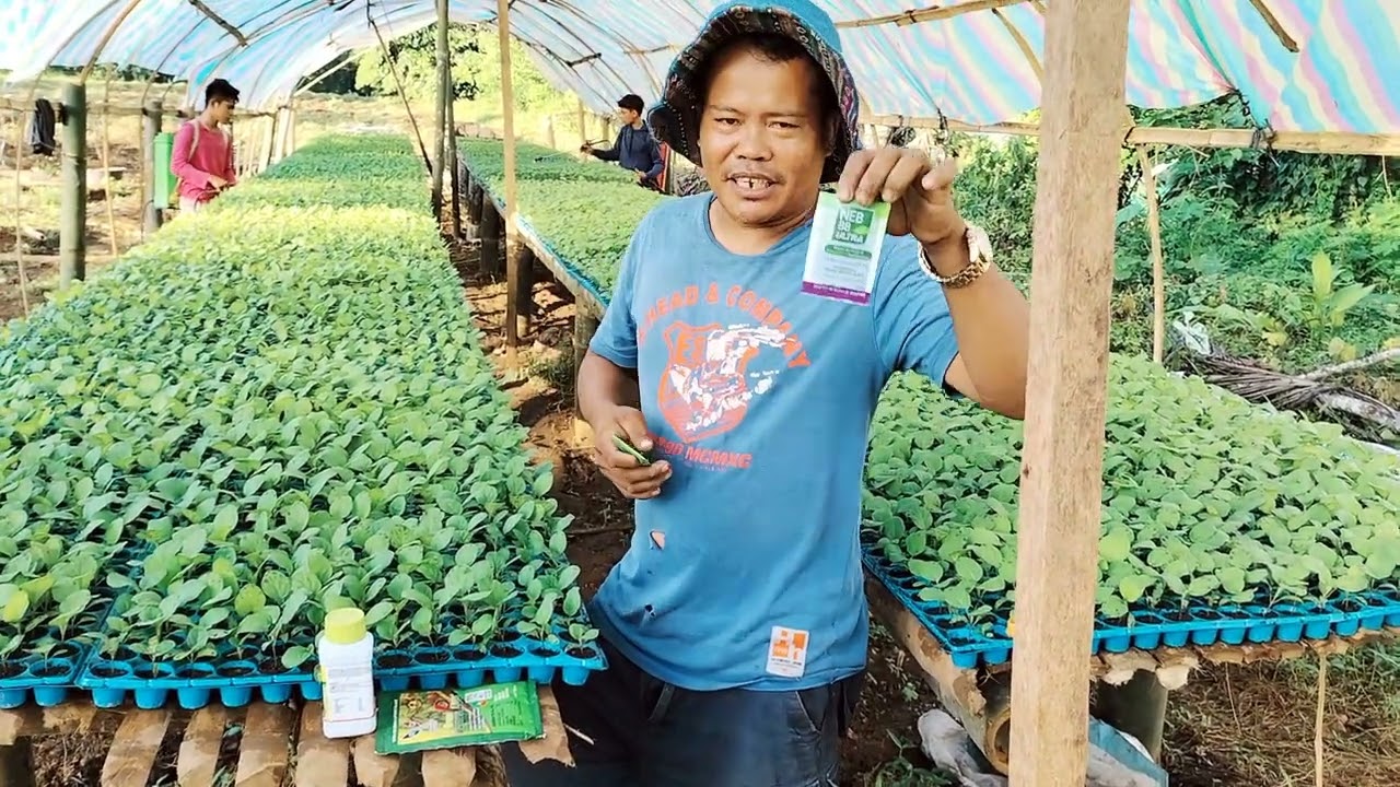 Ito napo ang mga ginagamit ko sa pag punla 🌱