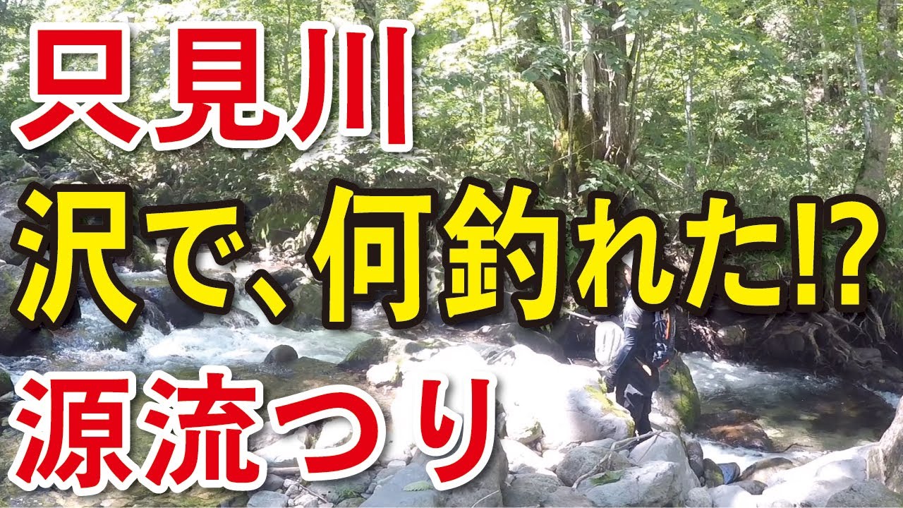 【渓流釣り　只見川】前回、釣り上げることが出来なかった沢の上流に釣行。大イワナ釣れたのか・・（福島県・新潟県）