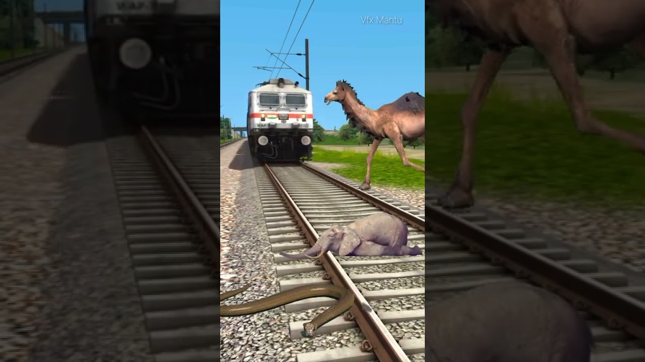 January 15, 2022 Angry elephant stops the train and save baby elephant  funny vfx video