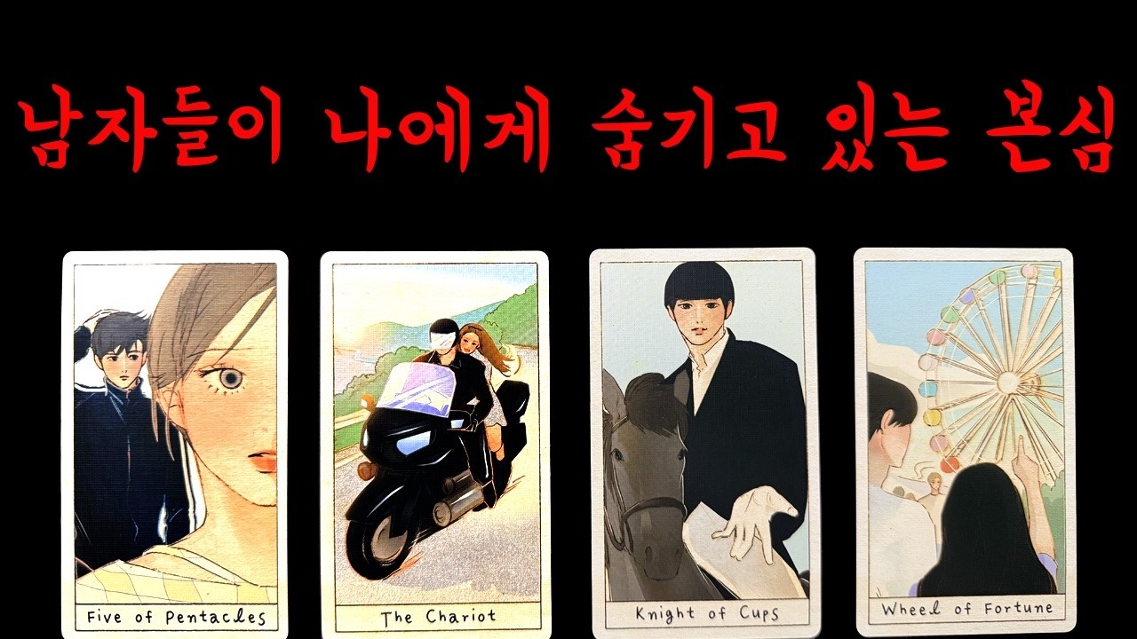 [✨타로]