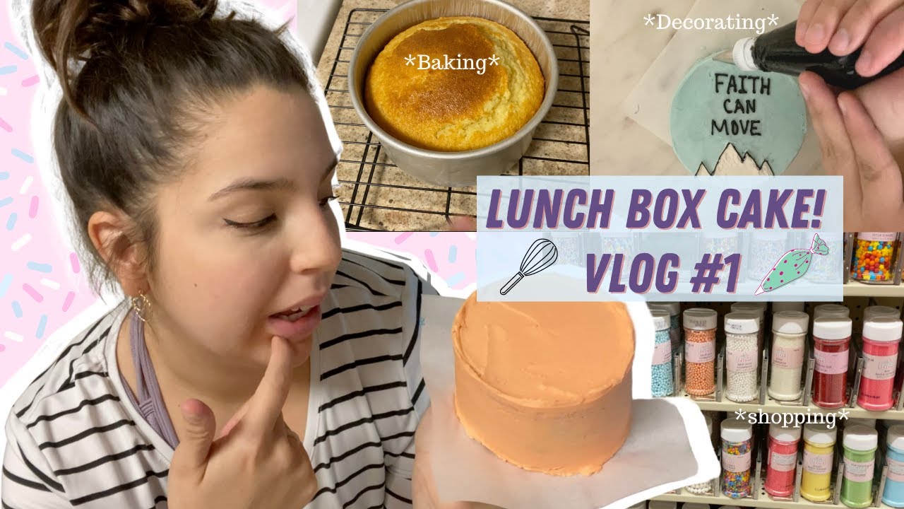 Cute Lunch Box Cake Vlog | Thalias cakes | pinterest minimalistic cakes