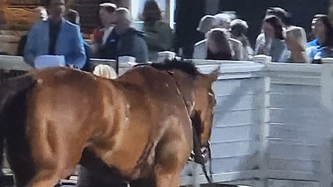 R8 TURF PARADISE USA 24 JAN 2026