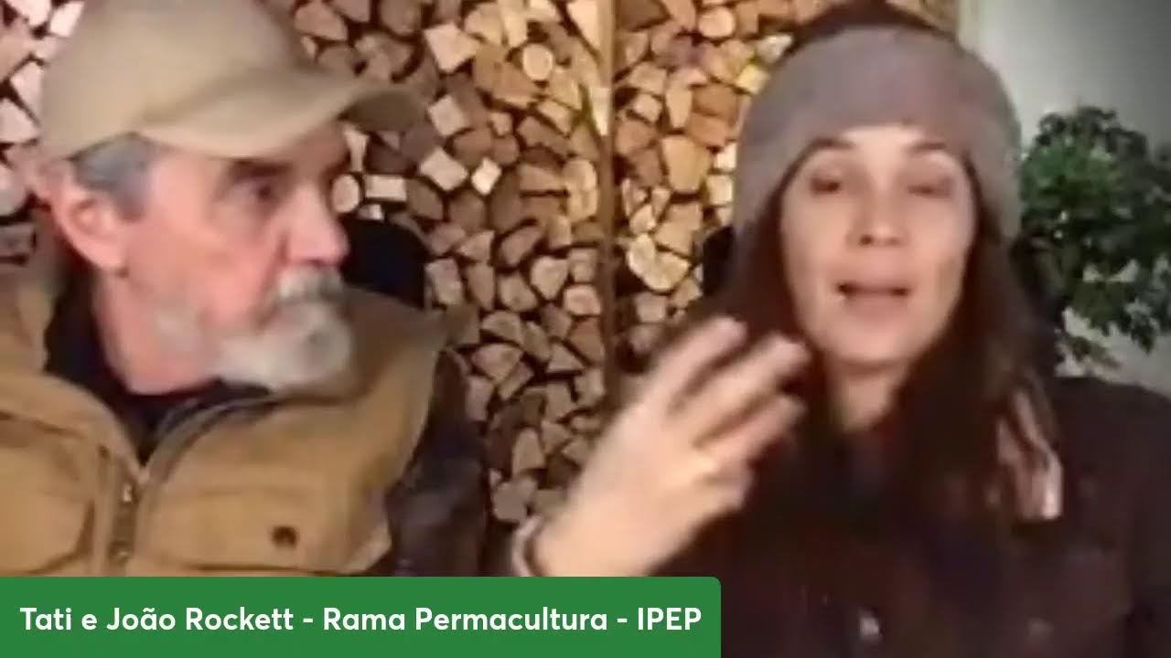 OS PADRÕES DA NATUREZA