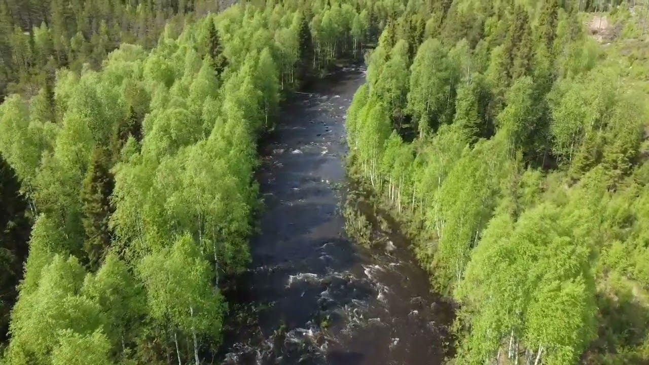 Piilijoki 14.6.2025 1080i/60fps (vuorokausi vapautumisesta)