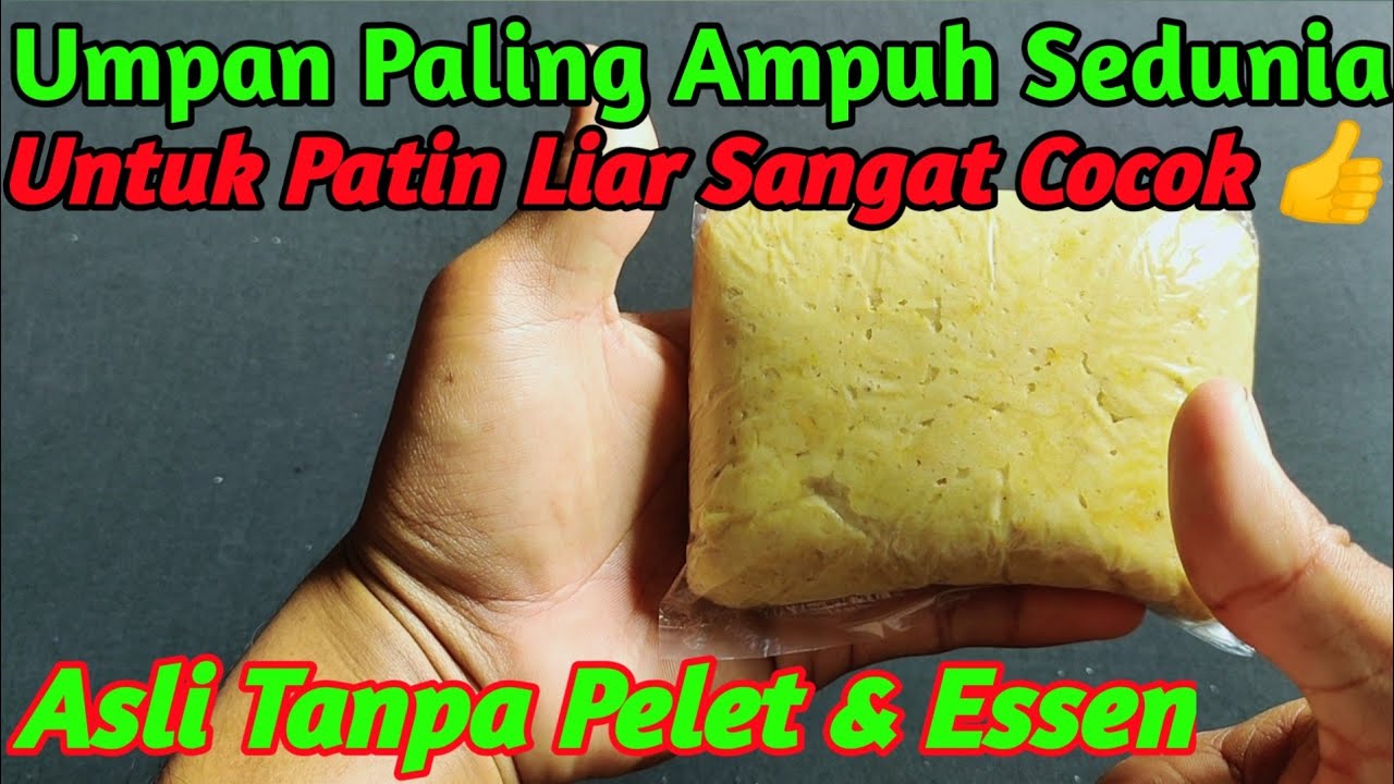 Racikan Umpan Jitu Ikan Patin Liar/Empang/Kolam Cocok Untuk Semua Ukuran/Umpan Paling Juara Sedunia