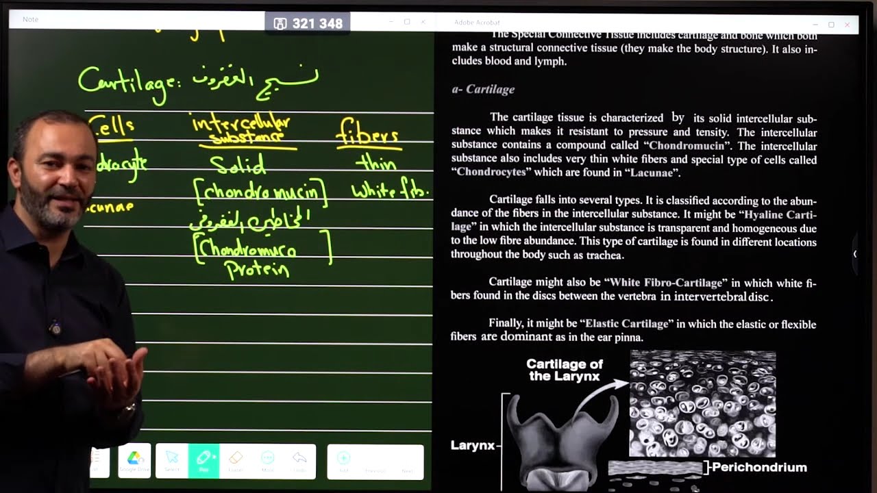 Lesson 15: Animal tissues: Special C. T: Cartilage & Bone
