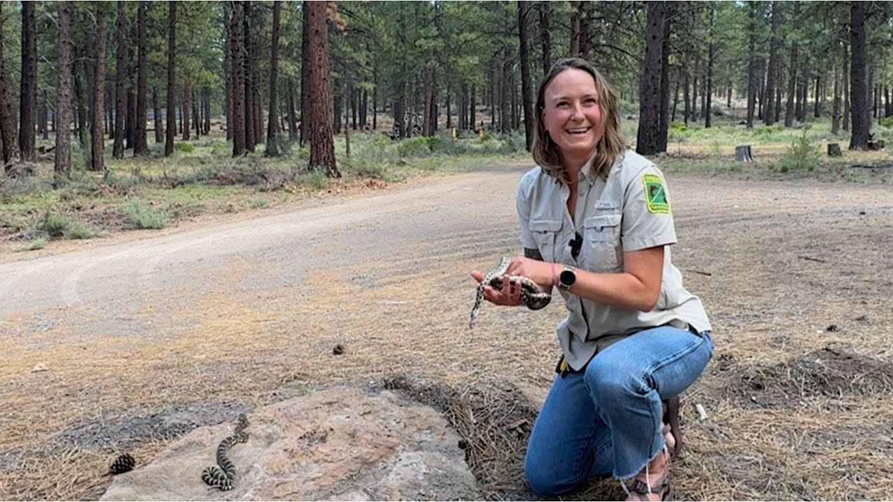 Living with Western rattlesnakes