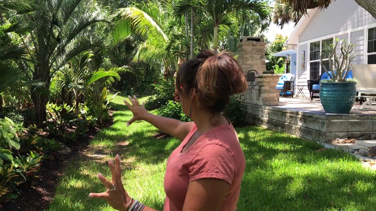 Backyard tour of Florida plants that last.