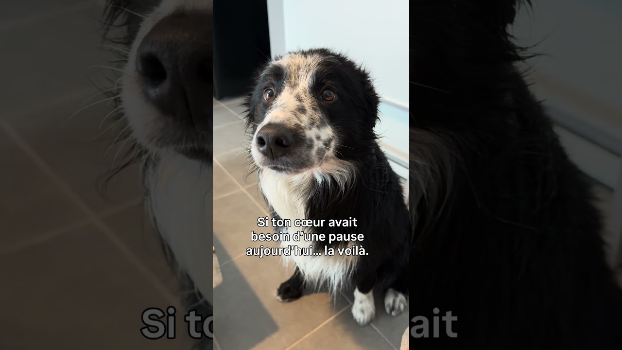 &Ccedil;a va t&rsquo;apaiser ❤️