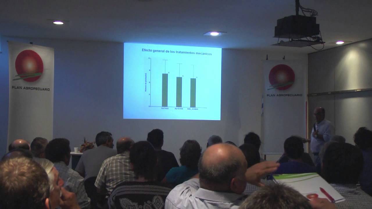 Control de Cardilla por el Ing. Agr. Ariel Asuaga