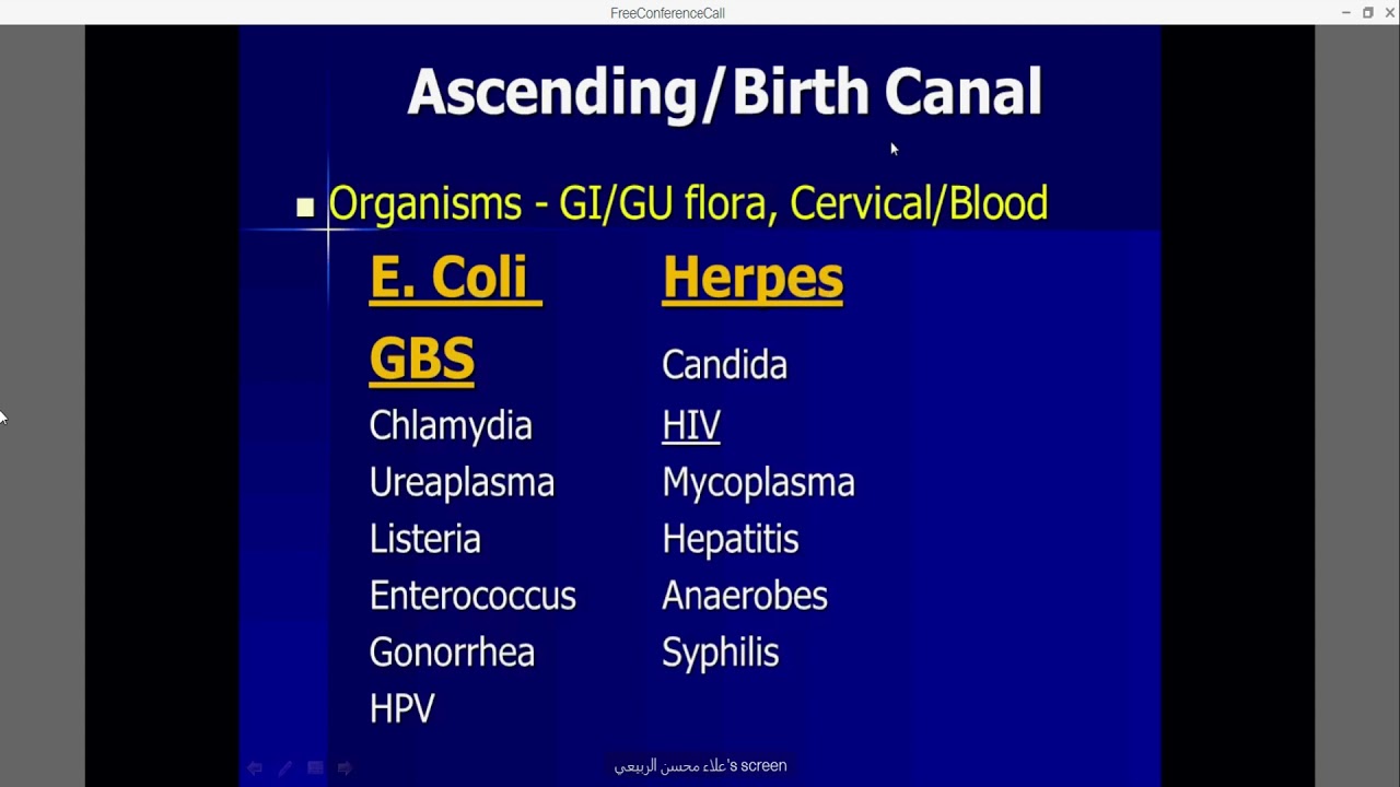Neonatal Sepsis & Meningitis. Investigations for Neonatal Sepsis. Organism causing Neonatal Sepsis.