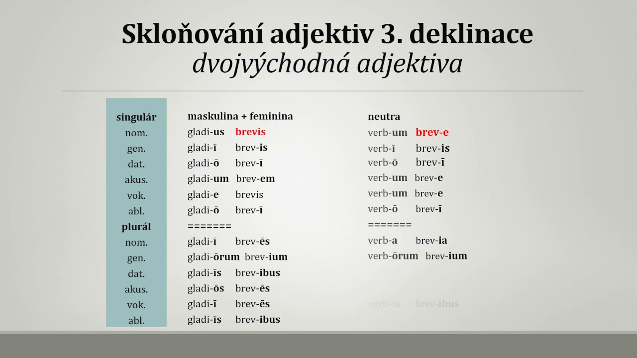 Adjektiva 3. deklinace