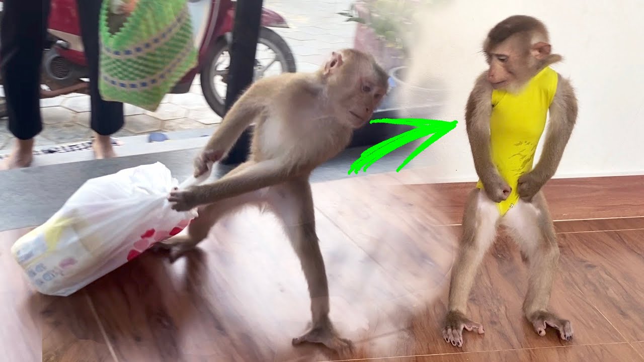 Judee With Big MucIes Sh0w Off, ThorougIy Daily W0rk0uts