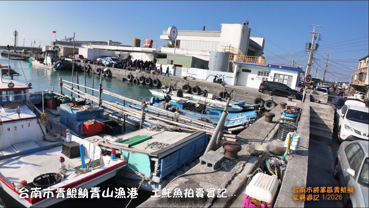 台南市將軍區青鯤鯓青山漁市 拍賣實記