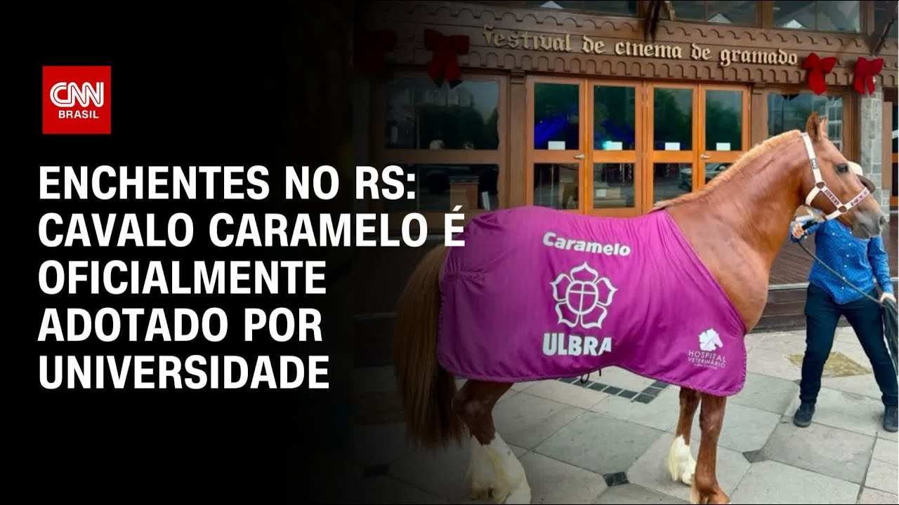 Enchentes no RS: Cavalo Caramelo é oficialmente adotado por universidade | CNN 360°