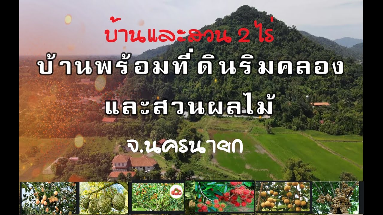(ปิดการขาย) ขายบ้านพร้อมสวนผลไม้ ริมคลอง พื้นที่ 2 ไร่ จ.นครนายก ราคาถูก 5.2 ล้าน  โทร.088-3313003