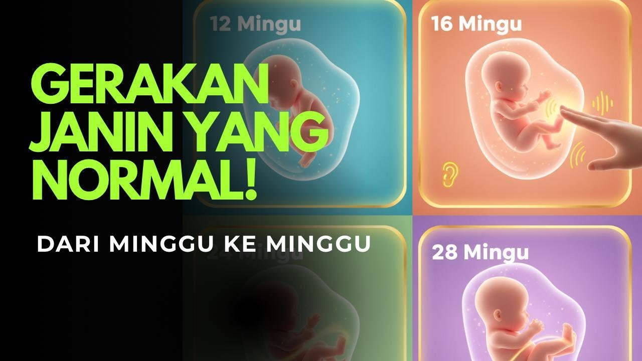 Rasanya Saat Janin Mulai Bergerak&hellip; Begini Tahapannya dari Minggu ke Minggu