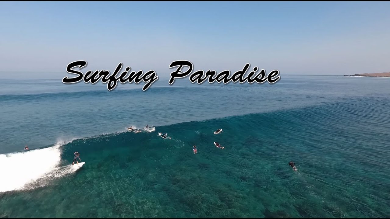 Surfing Paradise  