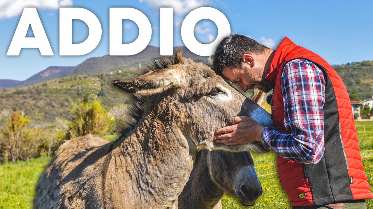 Perchè ho PORTATO VIA gli ASINI | Non TENGO più ANIMALI | CACCIATORI attaccano ASINI