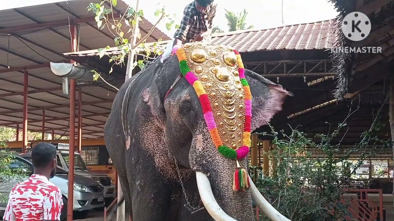 കൊല്ലം കൂനമ്പായിക്കുളം ക്ഷേത്രം അവിടത്തെ കാഴ്ചകൾ