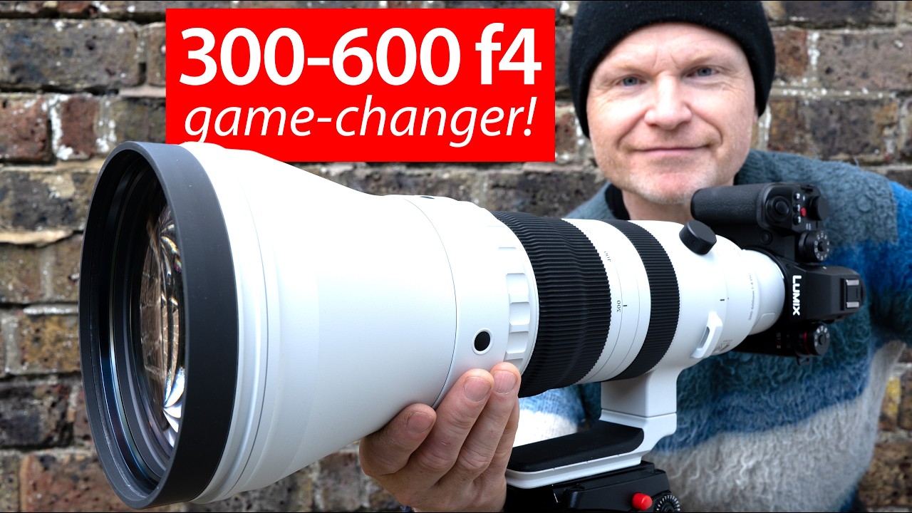 Sigma 300-600mm f4 REVIEW : low(er) cost super-telephoto!