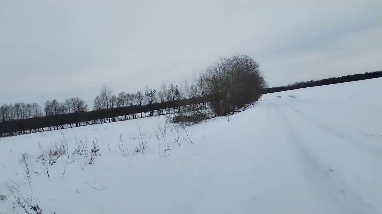 23 февраля 2026 г.