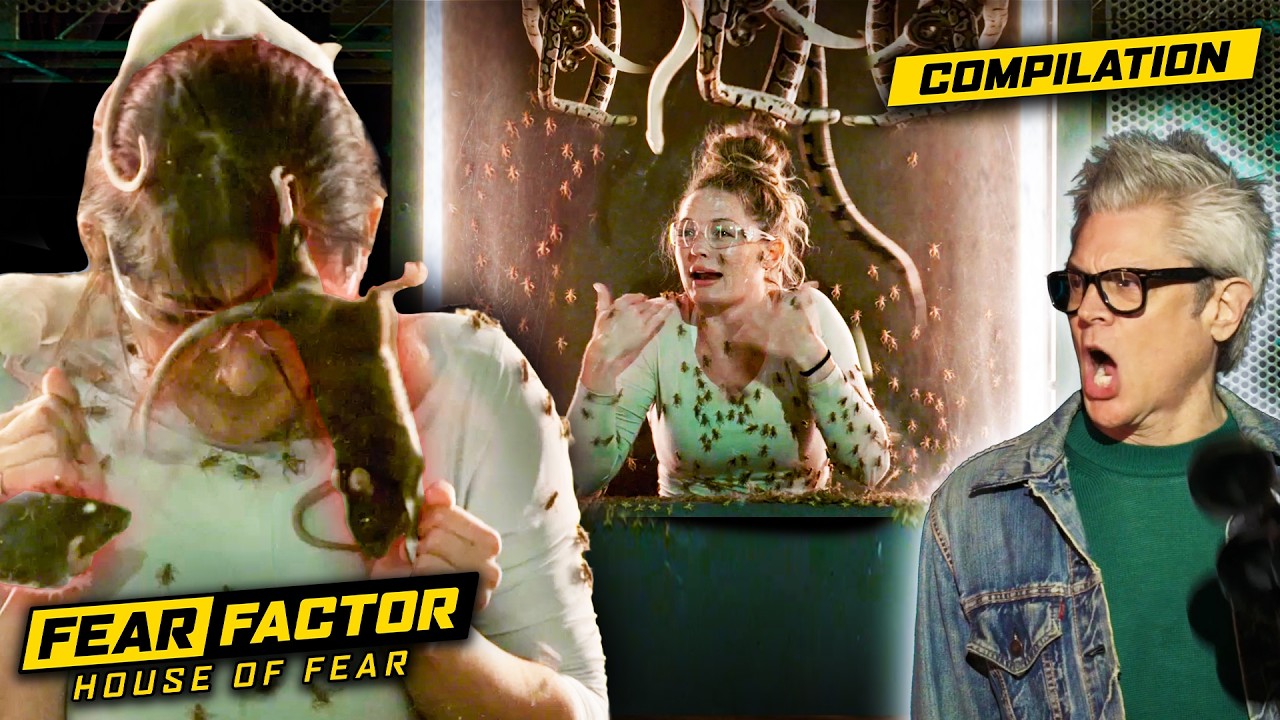 🐍🪳 TRAPPED in a Box with their BIGGEST Fears!? 😵😳 | Fear Factor: House of Fear