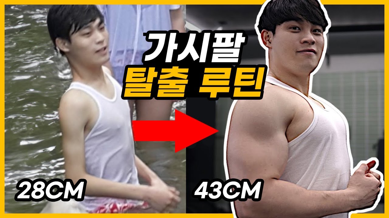 가시팔에서 15cm를 늘렸던 루틴(이두/삼두)
