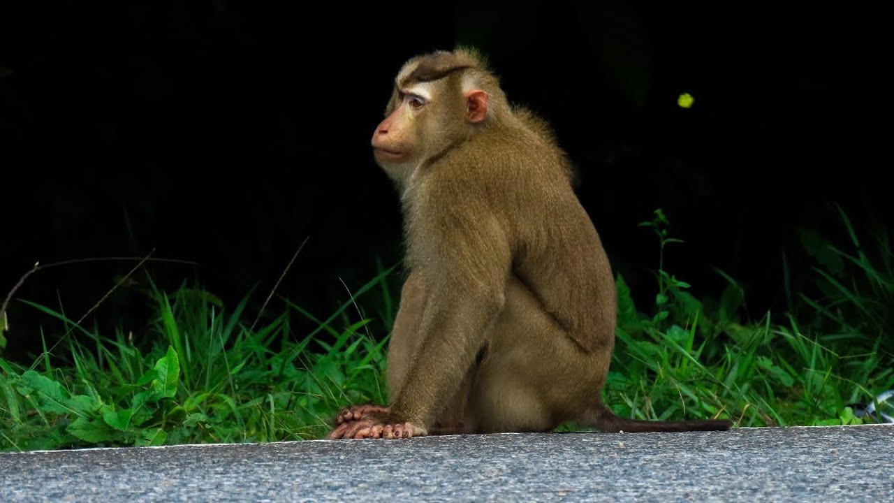 Roadtrip Vietnam en Cambodja