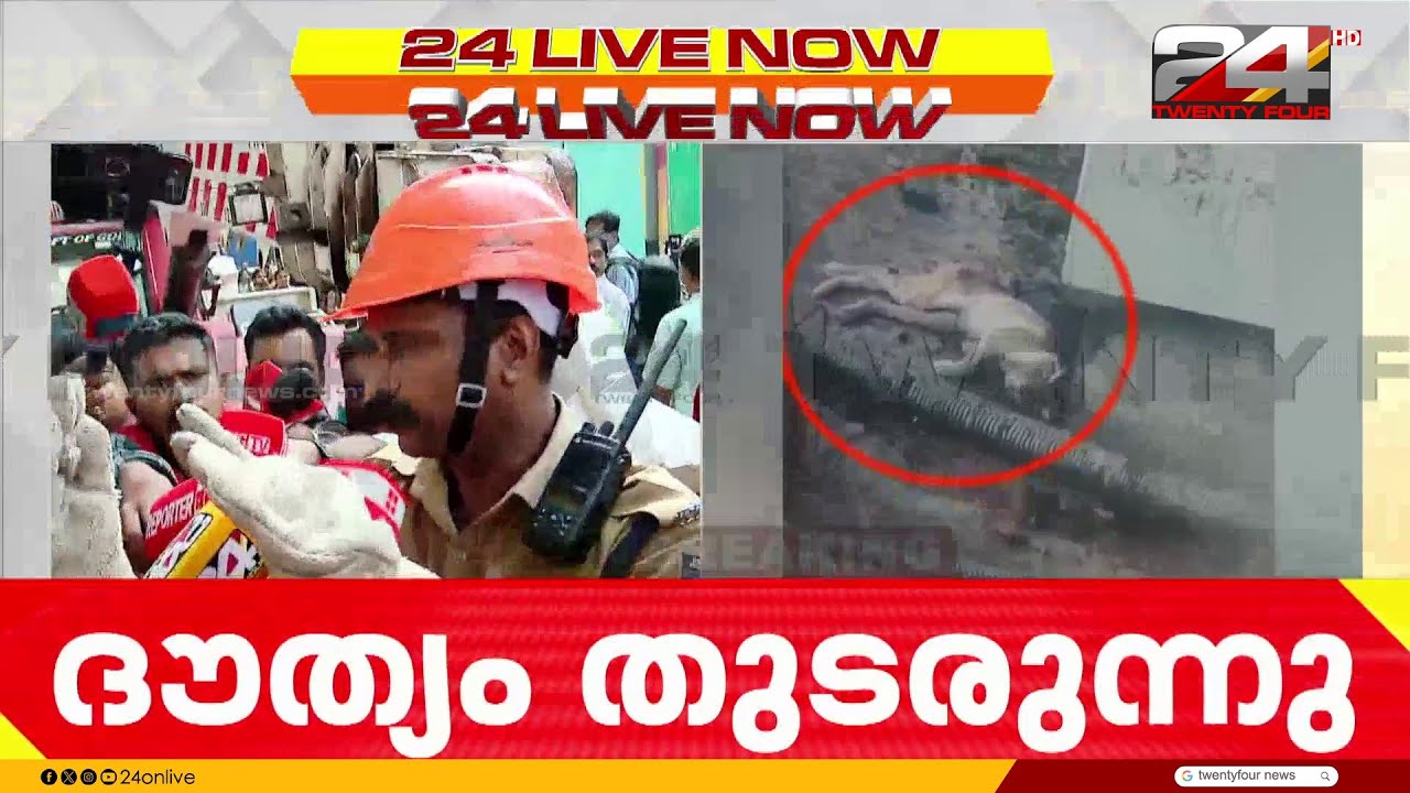 സുഭാഷ് അവശനല്ല; ഡബിൾ ഓക്കേ....! പൂച്ചയെ പിടികൂടാൻ ഉള്ള ദൗത്യം തുടരുന്നു | Cat Subhash | Kochi