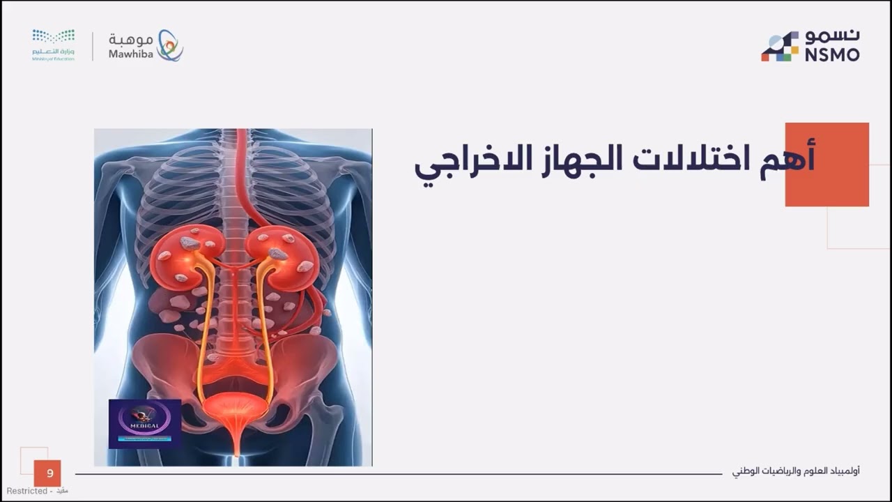 أولمبياد نسمو -تخصص الأحياء- الدرس الثاني والعشرون الجهاز التنفسي والاخراجي