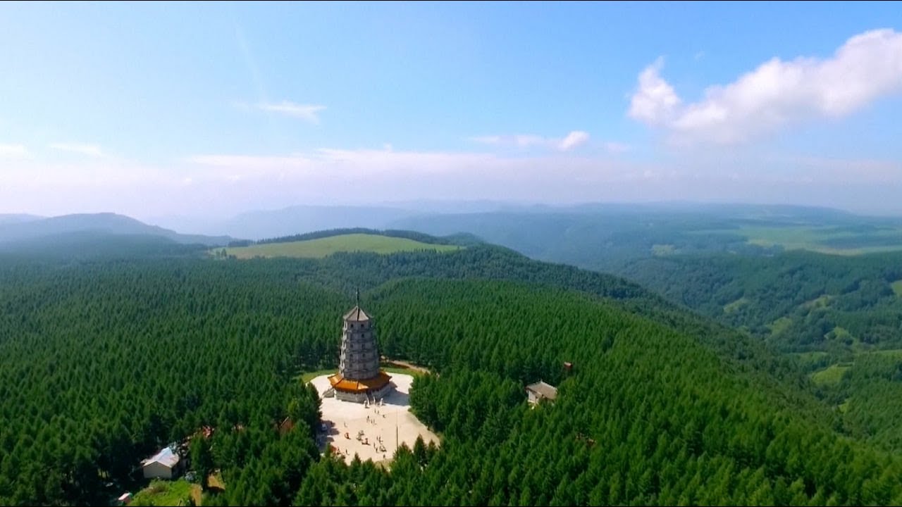 🌳В  китайской провинции Хэбэй высадили крупнейший искусственный лес на планете