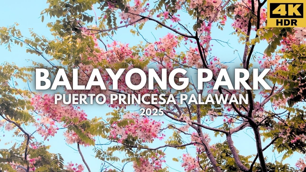 2025 Balayong People's Park Puerto Princesa City (